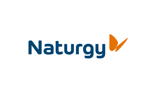 Normas Naturgy